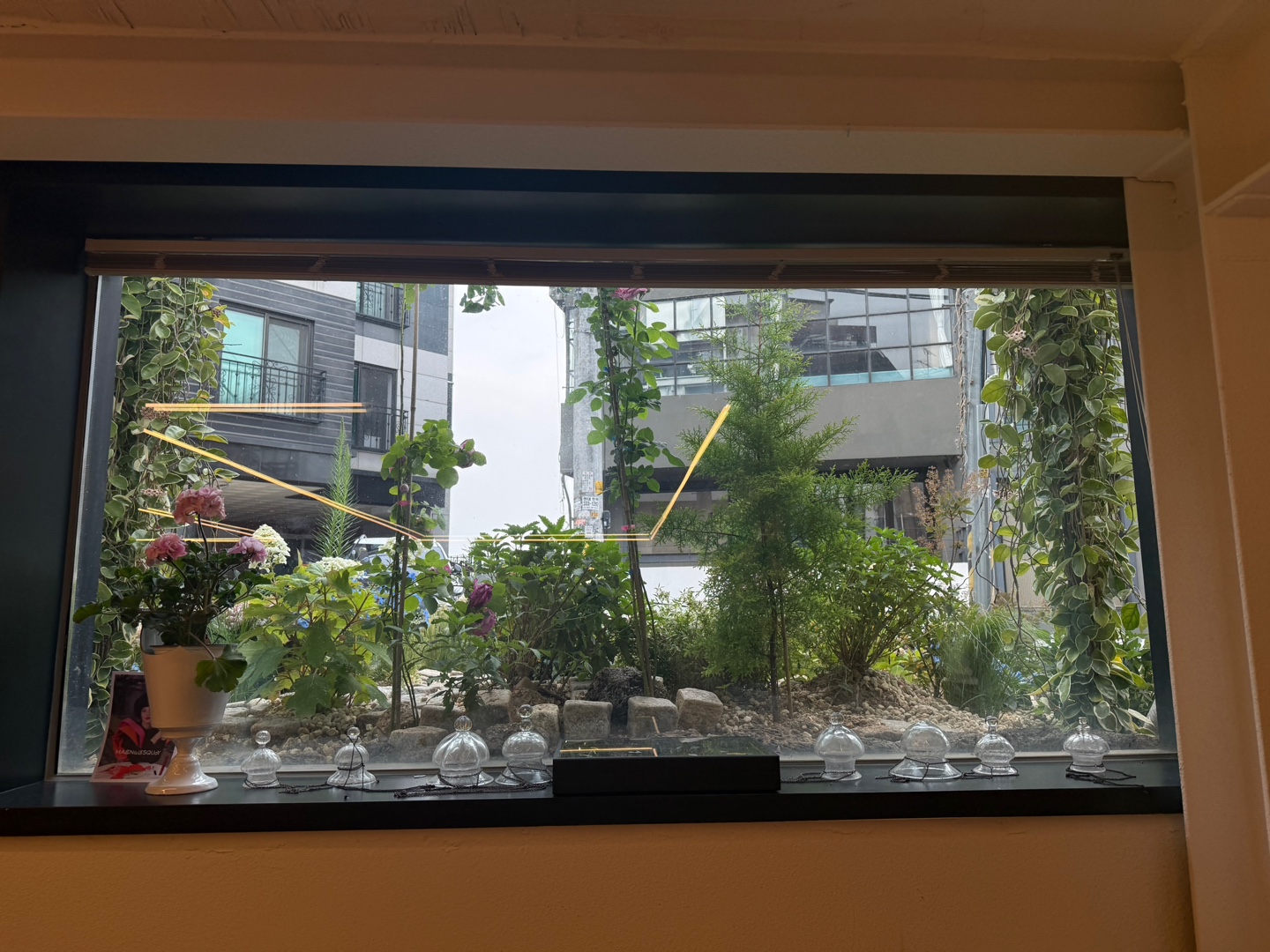 정원이 보이는 큰 창문
